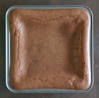 stevia
